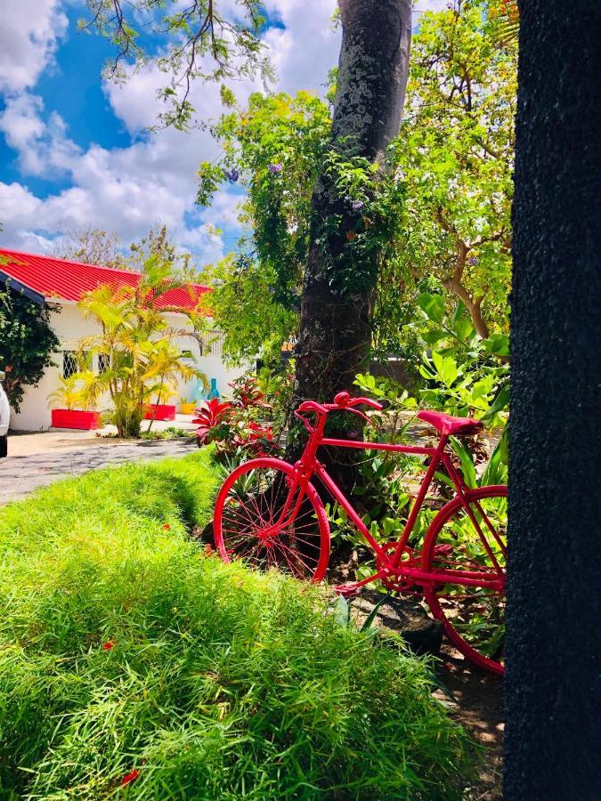 The Good Life - Eco Lodges & Serenity Boutique Hotel - Adults Only カップ・マルールー エクステリア 写真