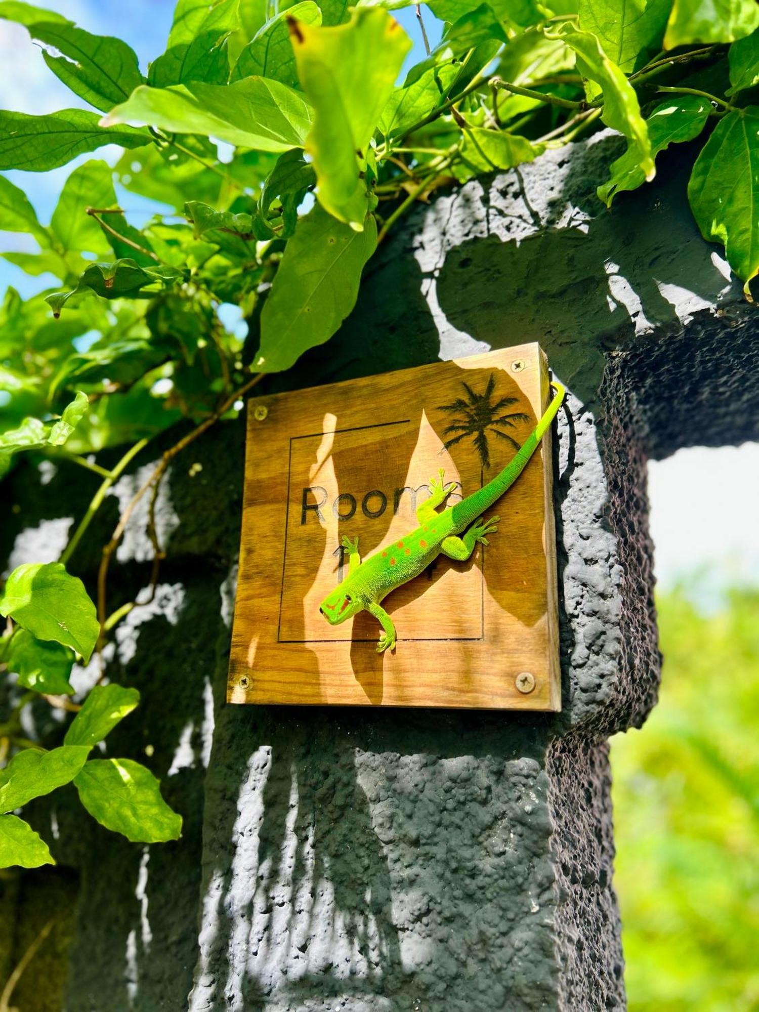 The Good Life - Eco Lodges & Serenity Boutique Hotel - Adults Only カップ・マルールー エクステリア 写真
