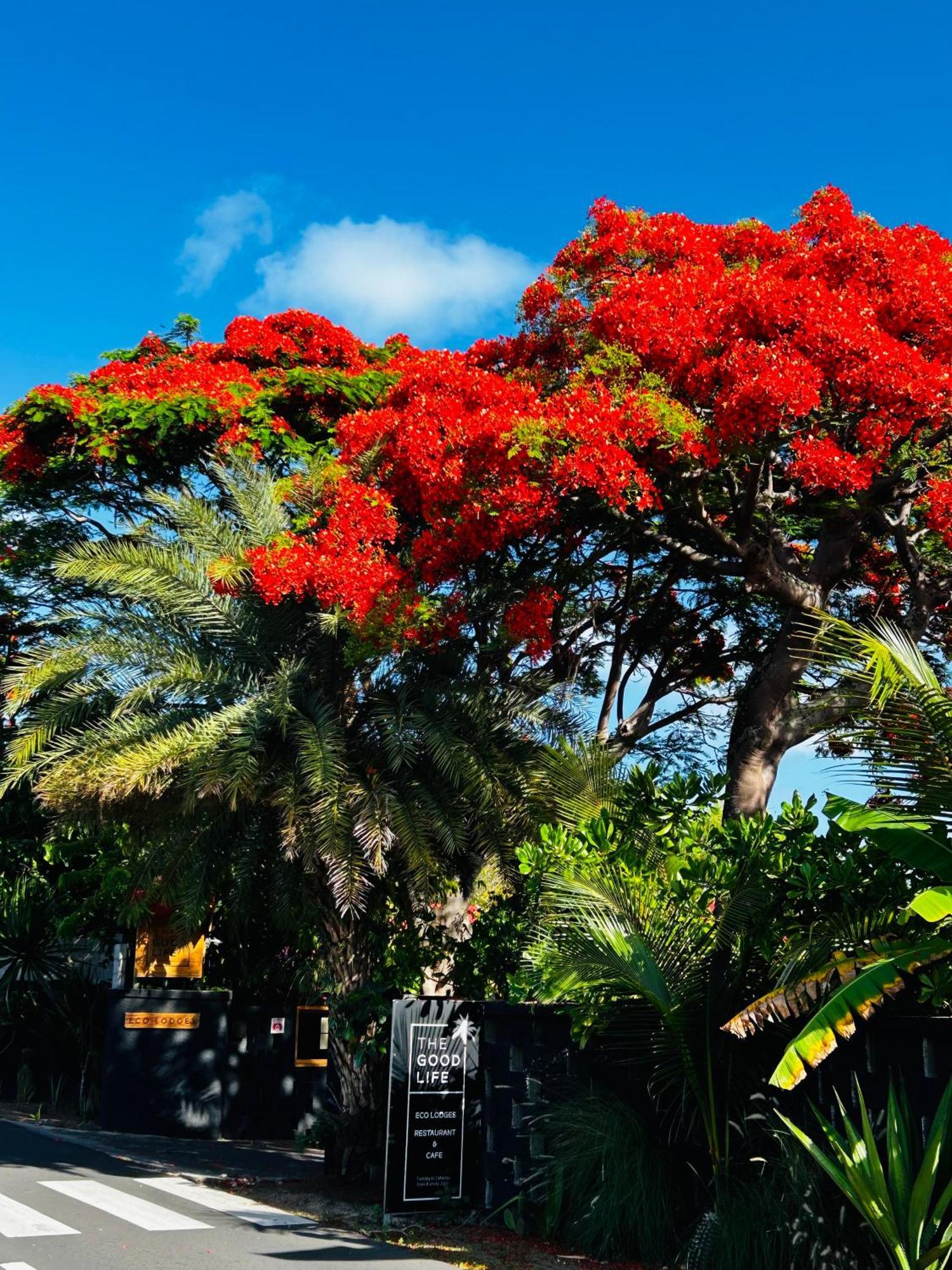 The Good Life - Eco Lodges & Serenity Boutique Hotel - Adults Only カップ・マルールー エクステリア 写真
